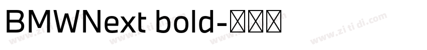 BMWNext bold字体转换 BMWNext bold字体转换